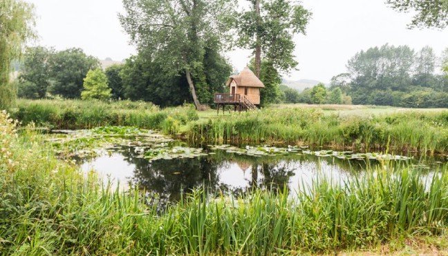 The Meadow View Treehouse is a Fairytale Retreat