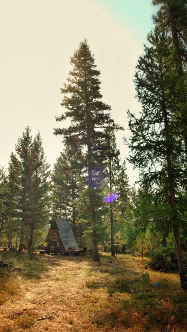 This Tiny A-Frame Cabin Took 3 Weeks to Build and Cost Just 0