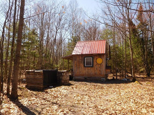 Cabin for sale